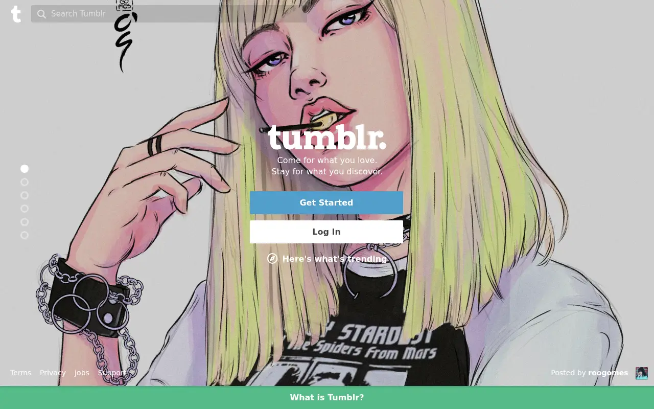 tumblr.com in 2017