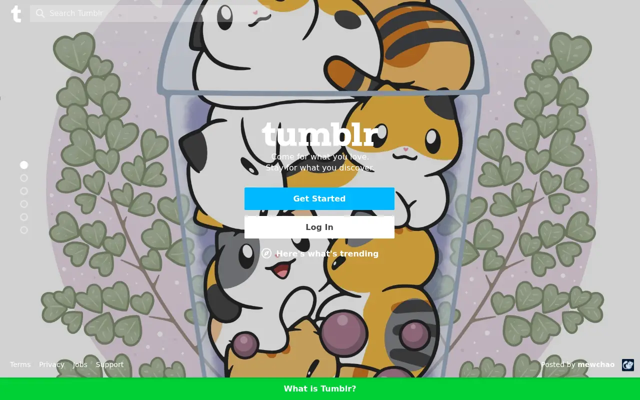 tumblr.com in 2020