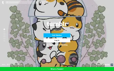 tumblr.com in 2020