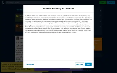 tumblr.com in 2022