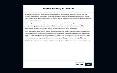 tumblr.com in 2024