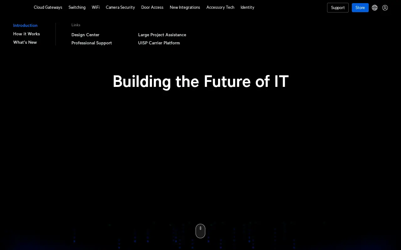 ui.com in 2024