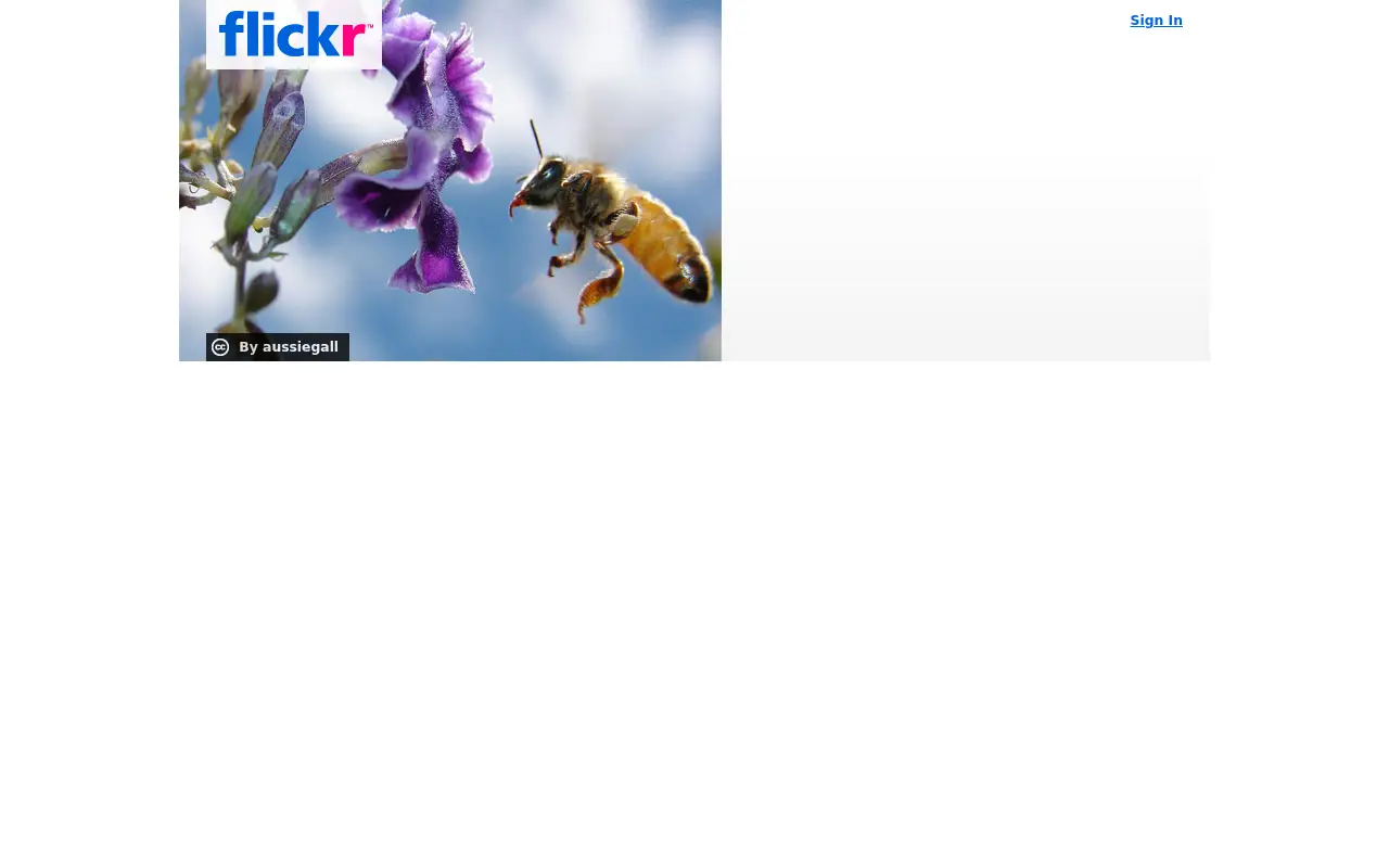 flickr.com in 2008
