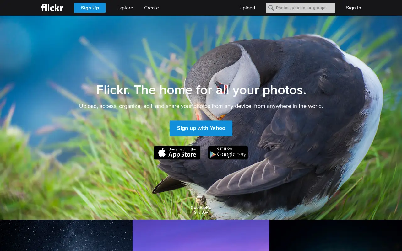 flickr.com in 2015
