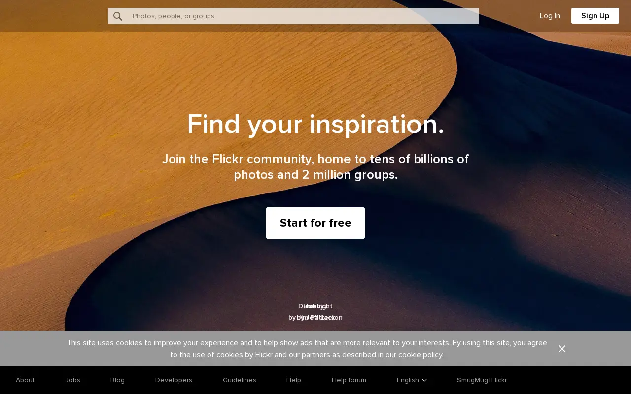 flickr.com in 2020