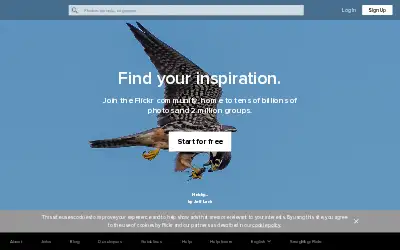 flickr.com in 2020