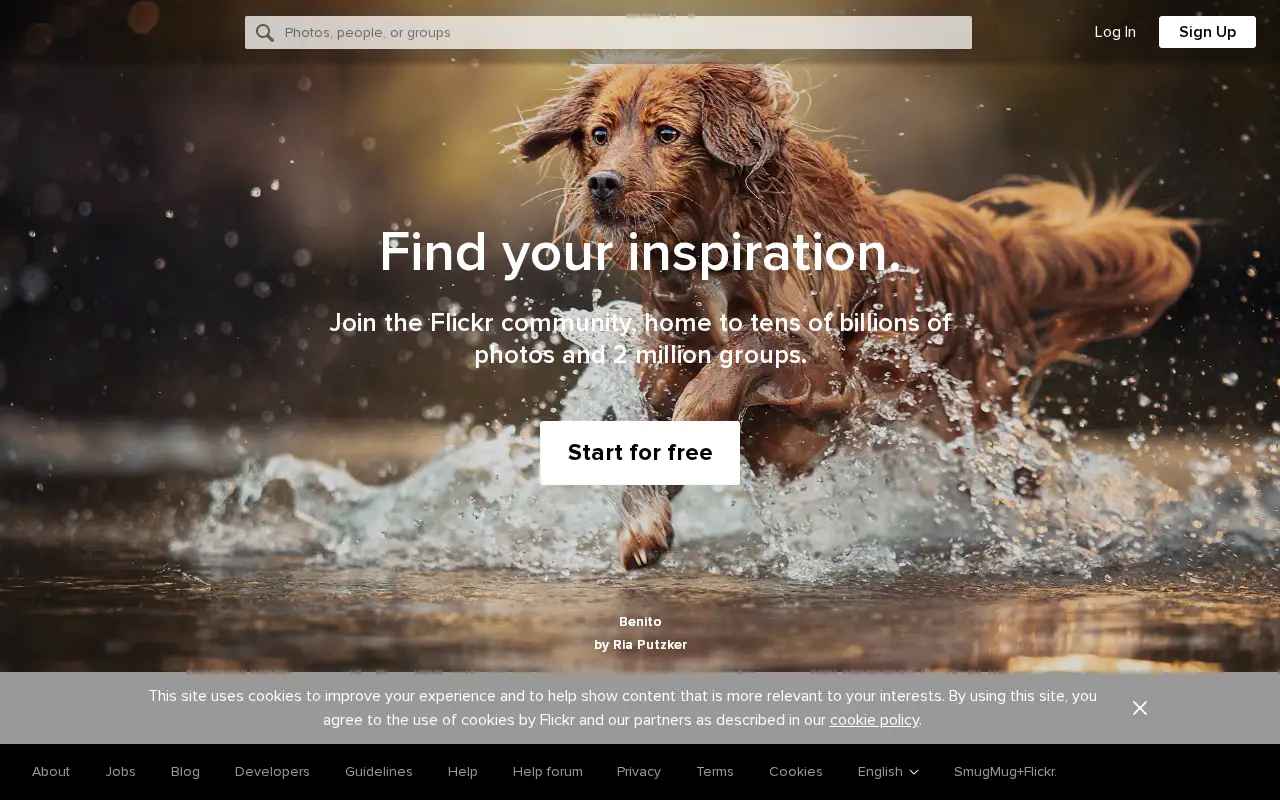 flickr.com on July 1, 2023