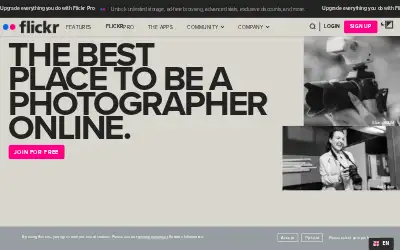 flickr.com in 2025