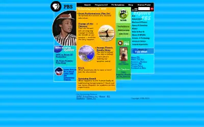 pbs.org in 2000