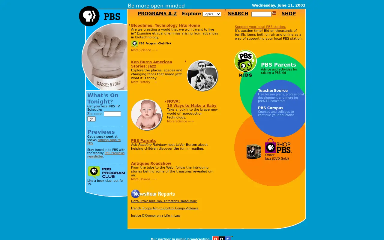 pbs.org in 2003