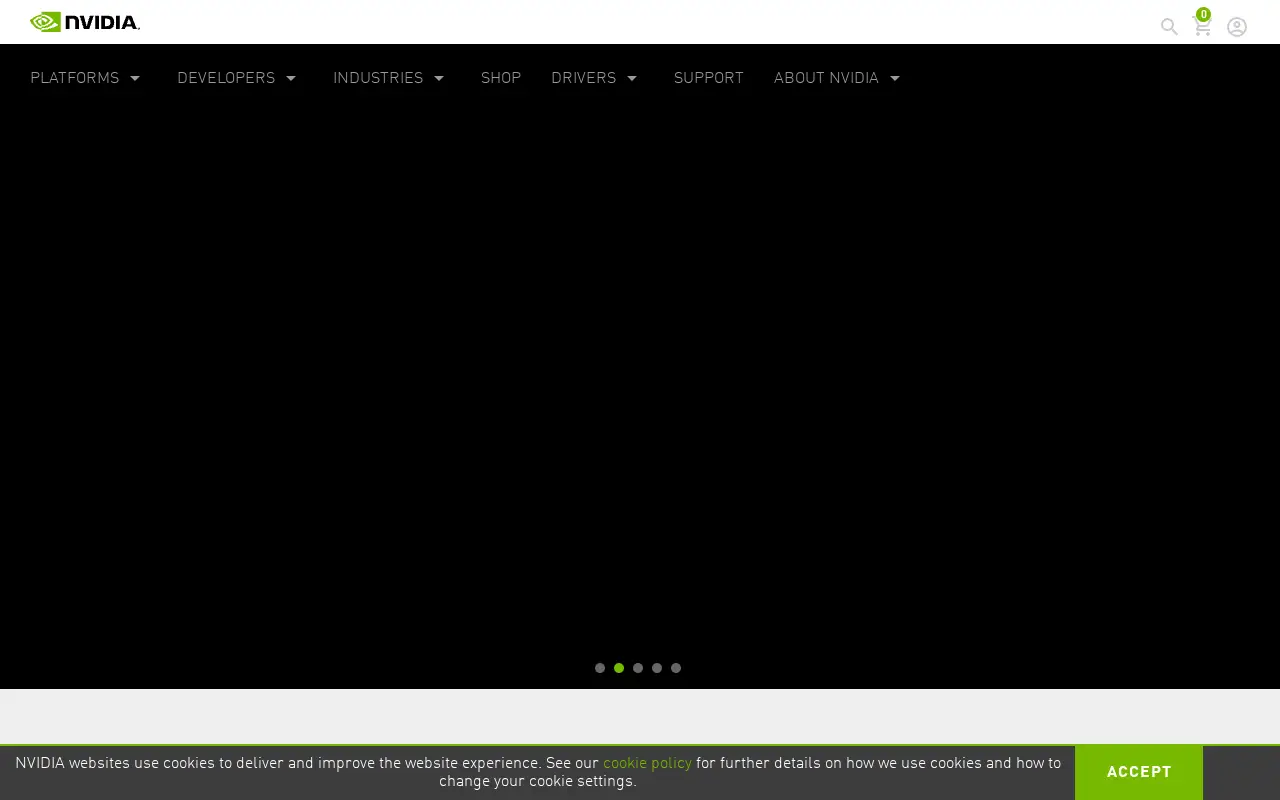 nvidia.com in 2020