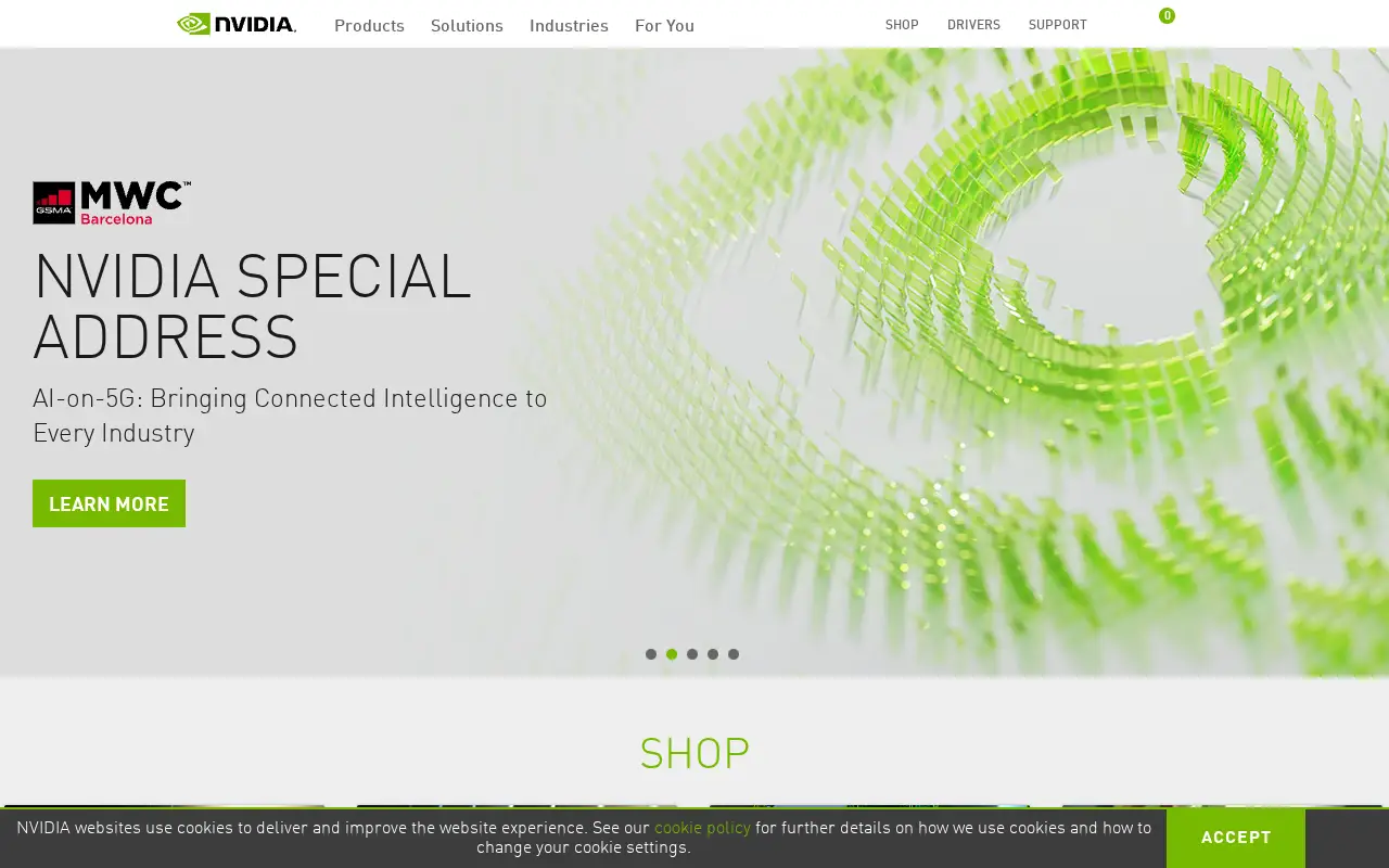 nvidia.com in 2021