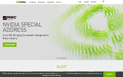 nvidia.com in 2021