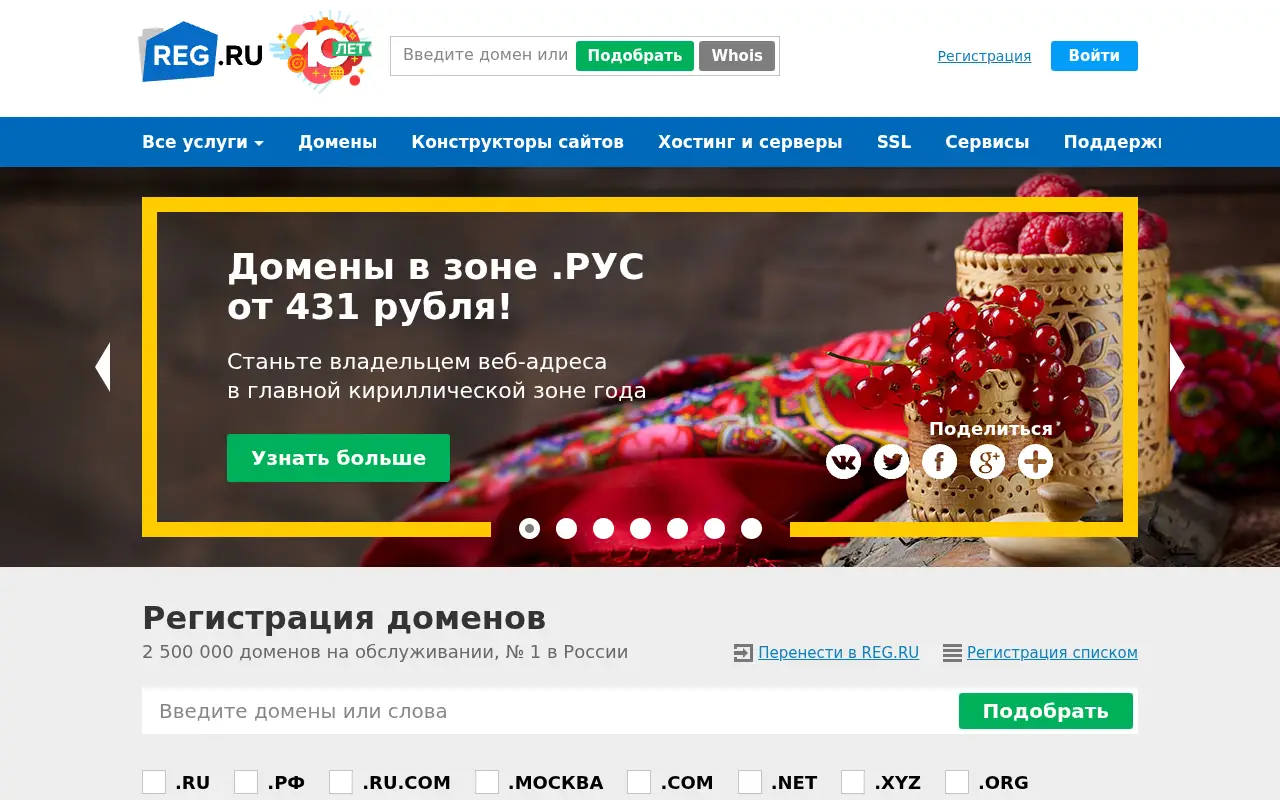 reg.ru in 2016
