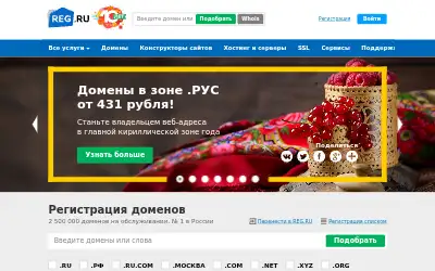 reg.ru in 2016