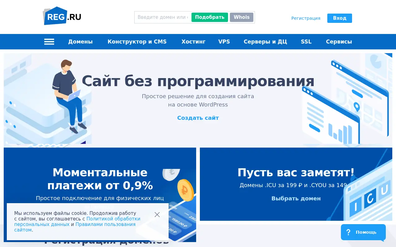 reg.ru in 2021