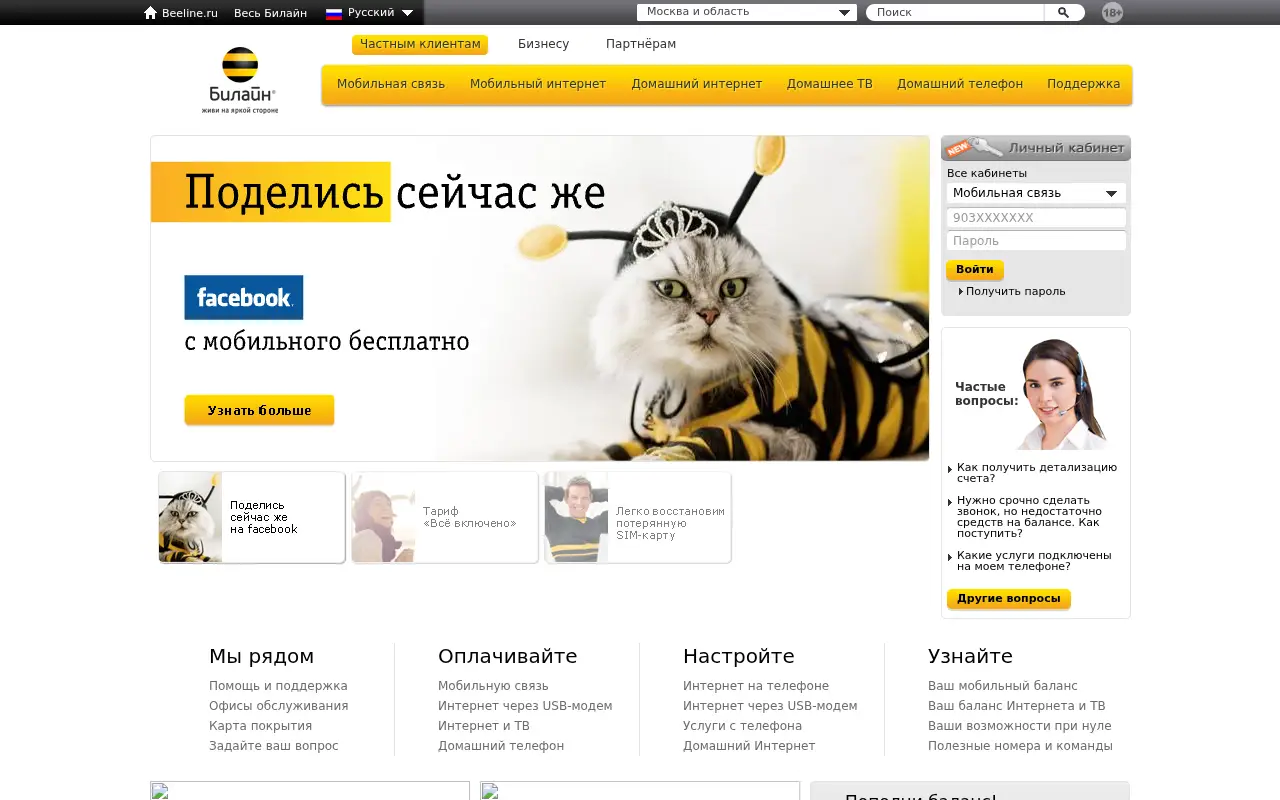 beeline.ru in 2013