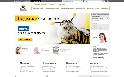 beeline.ru in 2013