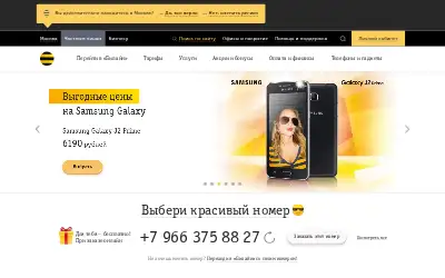 beeline.ru in 2017
