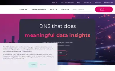 ns1p.net in 2023