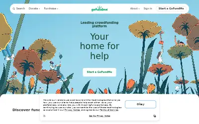 gofundme.com in 2024
