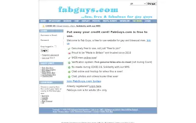 fabguys.com in 2020