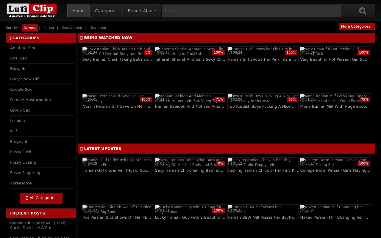 luticlip.com in 2016