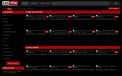 luticlip.com in 2016