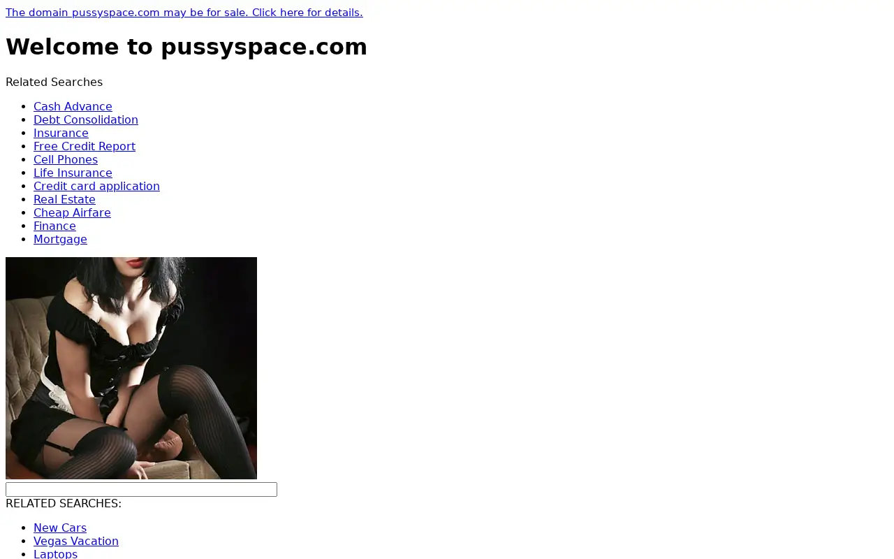 pussyspace.com in 2011