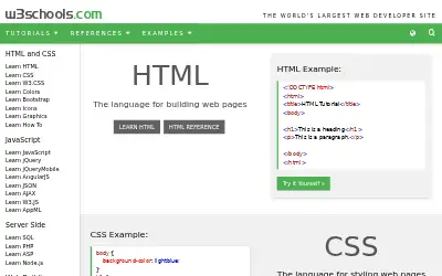 w3schools.com in 2017