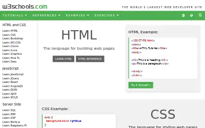 w3schools.com in 2020