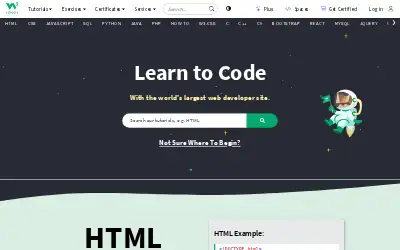 w3schools.com in 2024