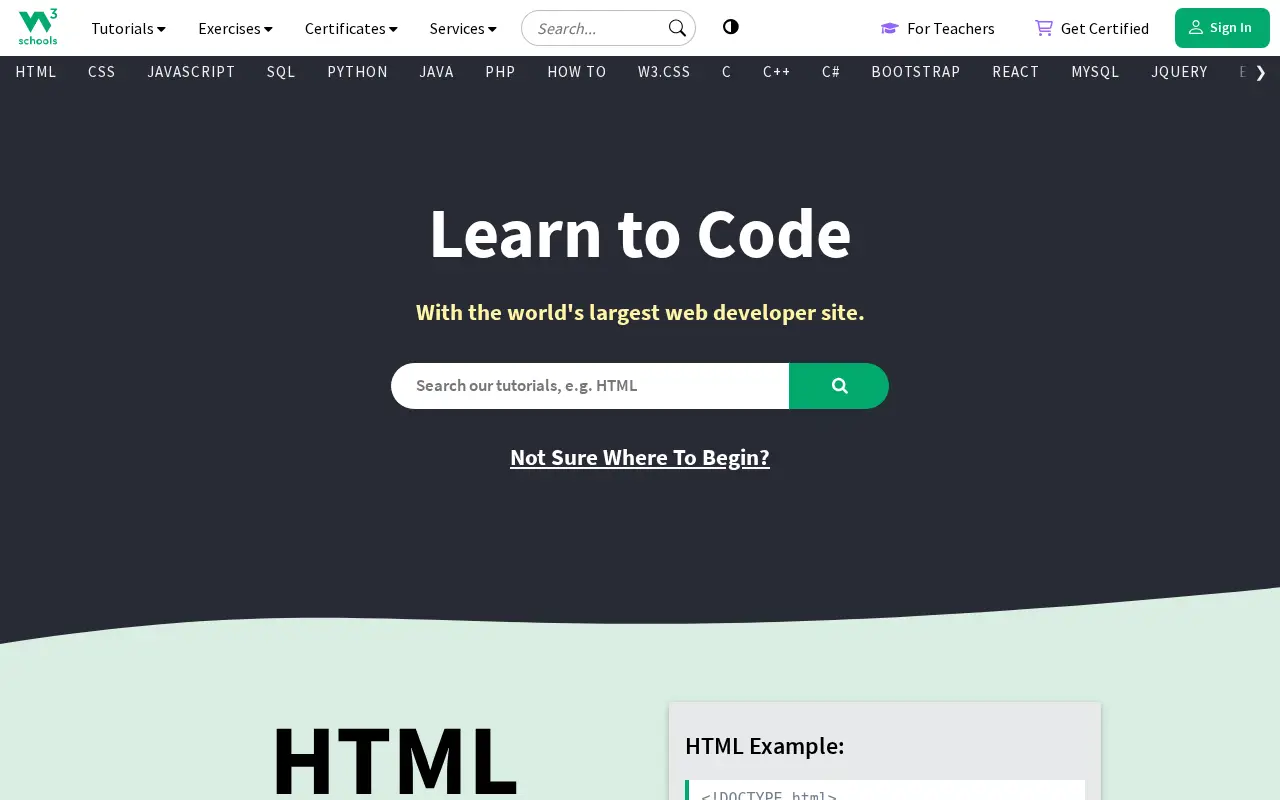 w3schools.com in 2025