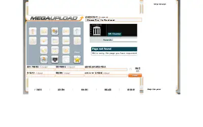 megaupload.com in 2007