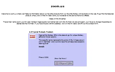 zoom.us in 2004