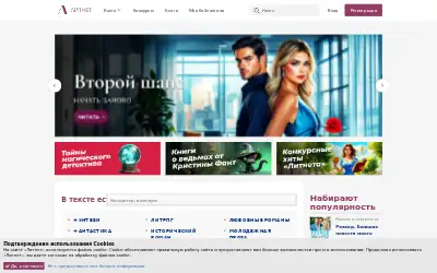 litnet.com in 2025