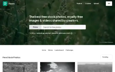pexels.com in 2023