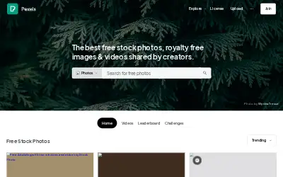 pexels.com in 2024