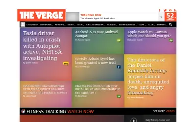 theverge.com in 2016
