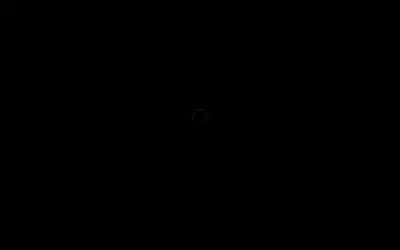 starlink.com in 2019