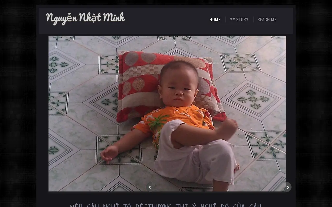 nguyennhatminh.com in 2014