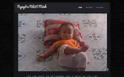 nguyennhatminh.com in 2014