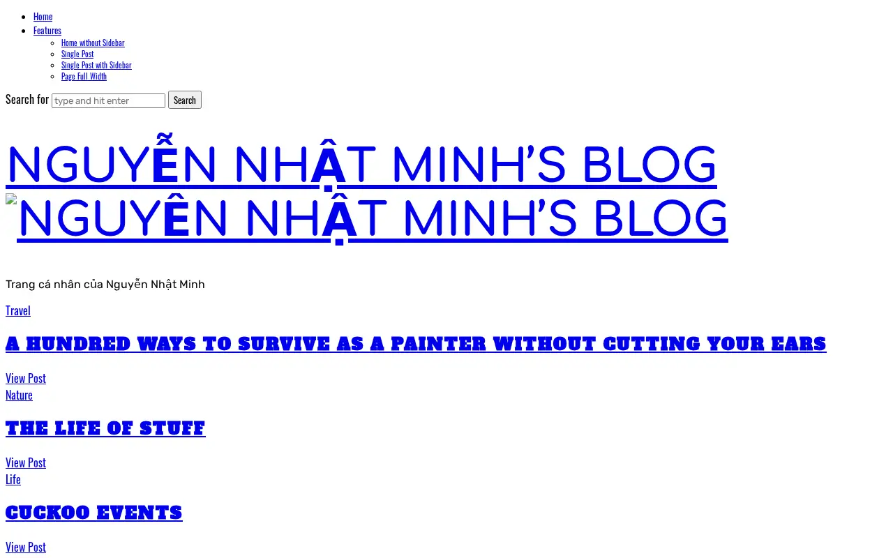 nguyennhatminh.com in 2019