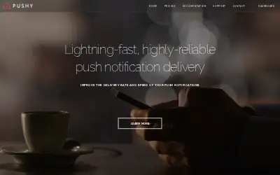 pushy.io in 2017