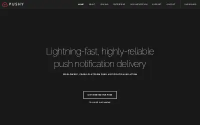 pushy.io in 2023