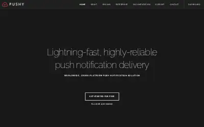 pushy.io in 2024