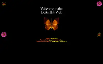brave.com in 1996