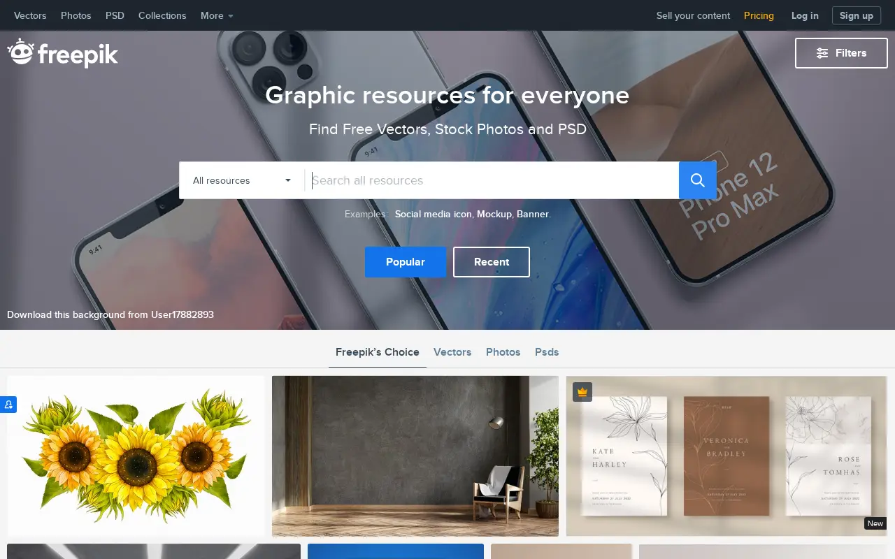 freepik.com in 2021
