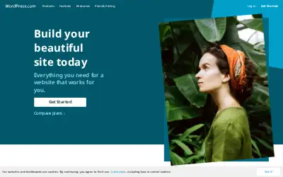 wordpress.com in 2018
