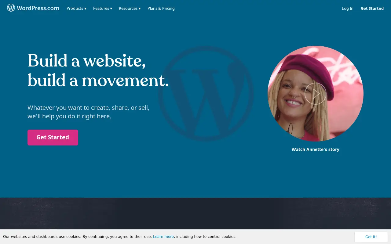 wordpress.com in 2019